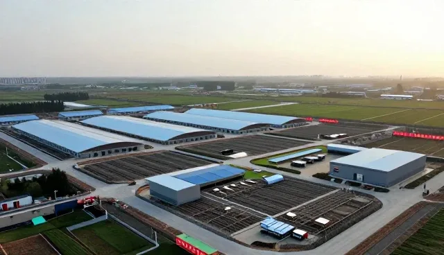 为什么企业选择基础企业展示套餐?